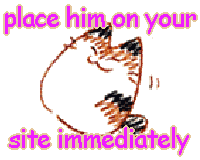 [ID:] a drawing of a kitten with the text put him on your site immediately[endID]